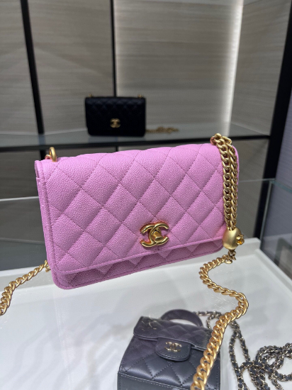 Picture of The Chanel 24s Wallet on Chain (WOC)